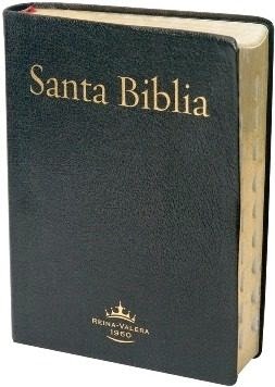 biblia descargar gratis para computadora